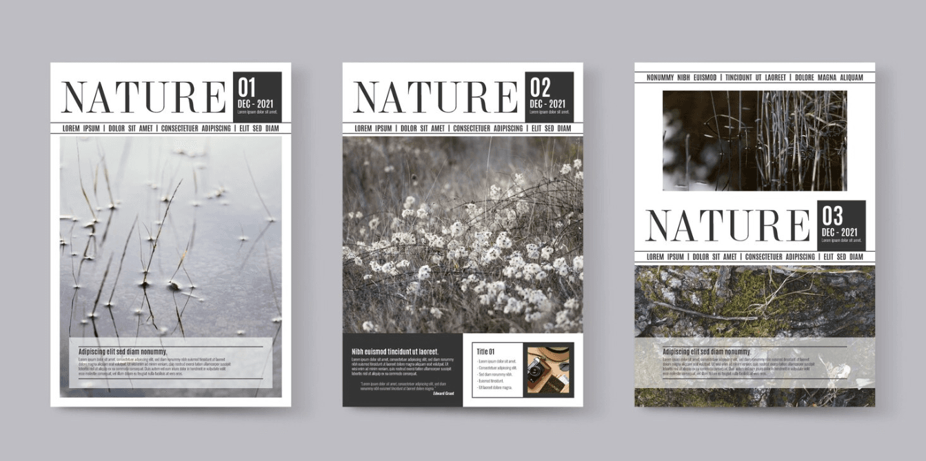 期刊发表合作征集